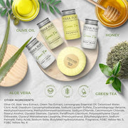 Terra Pure Green Tea Amenity Kit | Boxed Hotel Bulk Toiletries | 1 oz Shampoo, Conditioner, Lotion, Body Wash, Body Bar So...