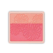 Paul & Joe Pressed Blush Palette Refill Only, Case Sold Separately, Oil-Absorbing Blush Powder, Bi-Color Face Blushes with...