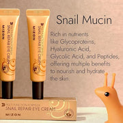 MIZON Snail Line Snail Repair Eye Cream, natural treatment, wrinkle treatment, fine line, hydrating, healthy skin, Korean ...