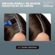 Clairol Root Touch-Up by Nice'n Easy Permanent Hair Dye, 4 Dark Brown Hair Color, Pack of 2 - Product Image
