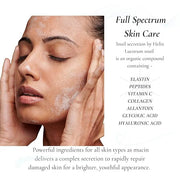 Snail Script Eye Cream, Snail Mucin Black Snail Repair lotion for Face Korean SkinCare Snail Moisturizer Hyaluronic Acid V...