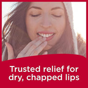 Carmex Classic Medicated Lip Balm Pack,