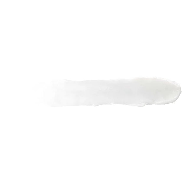 Burt's Bees Lip Balm - Original Beeswax 12 Count Pack in Bulk, Lip Moisturizer With Responsibly Sourced Beeswax, Tint-Free...
