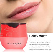 6PCS Bee Lip Balm Honey Pot，Honey&Strawberry&Watermelon&Cherry&Apple&Coconut