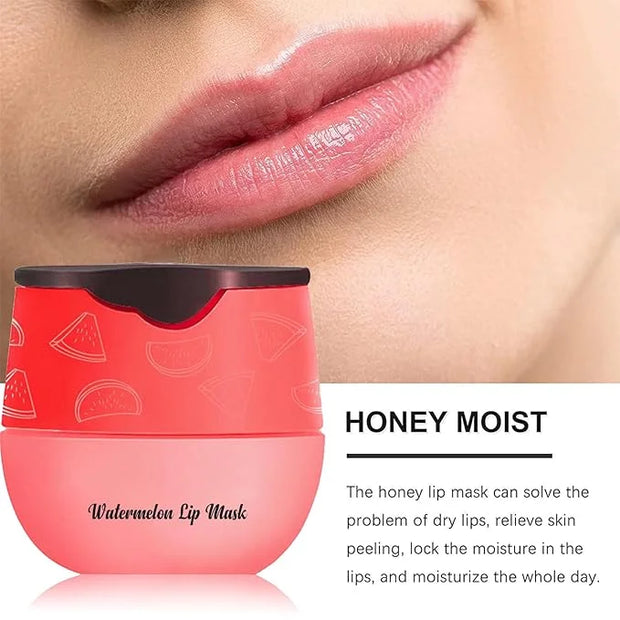 6PCS Bee Lip Balm Honey Pot，Honey&Strawberry&Watermelon&Cherry&Apple&Coconut