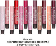 Burt's Bees Shimmer Lip Tint Set,