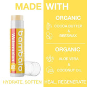 4-Pack Watermelon SPF 15 Lip Balm