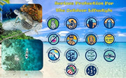 Hawaii Reef Compliant, Non-Nano Mineral Sunscreen 3oz Travel Size, (2) Pack 6oz Total, UVA/UVB Protection, Octinoxate & Ox...