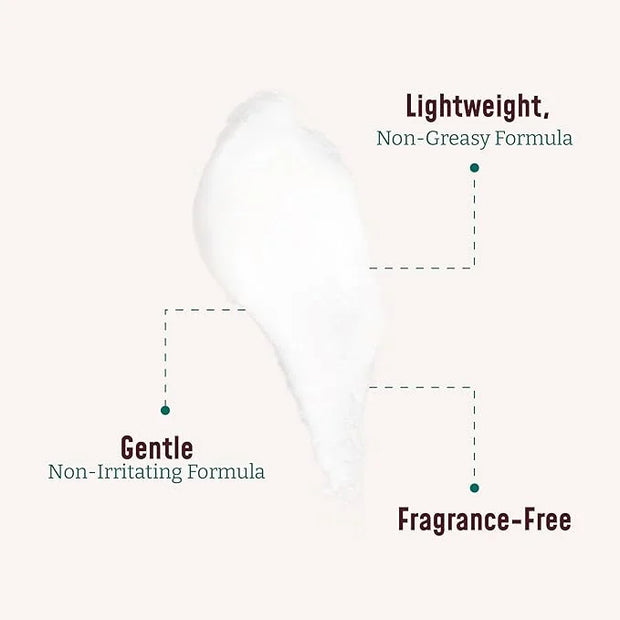 BLOOM IT'S A GREAT SKIN DAY! Collagen Cream + Aloe Vera Moisturizer Body Lotion & Face Cream | Dry Skin Rescue | Skin Tigh...