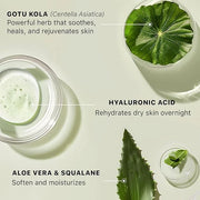 Hyaluronic Acid Moisturizer for Face - USA Made with Organic & Natural Ingredients, Hydrating Anti Aging Face Moisturizer ...