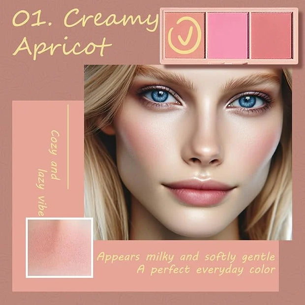 3 Color Matte Pink Blush Palette with Brush, Long Lasting Cheek Makeup, Smooth and Light Blush Powder for Face Beauty - Pr...