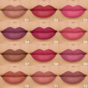 12 Pcs Natural Nude Brown Beige Colors Lip Beige