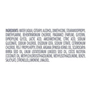 Dove Conditioner Argan Oil & Repair for Fine Hair with Bio-Protein Care Technology and Argan Oil Blend 12 Fl Oz - Product ...
