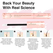 Eyebrow Growth Serum (3ml) Brow Serum for Thicker, Fuller, Healthier Brows - Premium Vegan & Cruelty-Free to Grow Eyebrows...