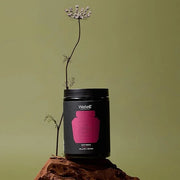 WelleCo The Super Elixir Daily Greens Powder, Probiotic Drink Mix with Whole Foods, Gluten Free, Vegan Gut Health Powder, ...