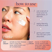 SpaLife Plump + Correct Day to Night Cream Duo – Day & Night Face Cream Set – For Dull Skin, Fine Lines & Wrinkles, Loss o...
