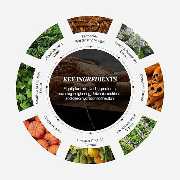 Bonyongo Red Ginseng Vinegar Eye Cream – Anti Aging Eye Treatment Cream for Youthful Radiant Skin - Wrinkle Improvement wi...