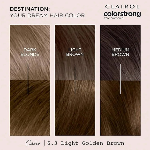 Clairol ColorStrong Permanent Zero Ammonia Hair Dye, 6.3 Light Golden Brown - Cairo Hair Color, Pack of 1 - Product Image
