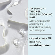 Sky Organics - Castor Oil Organic - Volumizing Hair Oil - Scalp, Lashes, Brows - Pure Castor Oil Cold Pressed - Natural Co...