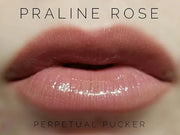 LipSense Bundle (Apple Cider) 1 Lip Color Glossy