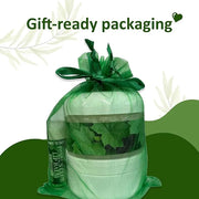 Snowy Summit's 3-Pc Devil's Club Gift Bag Set – Includes All-Natural Handcrafted Salve, Revitalizing Sugar Scrub, and Mois...