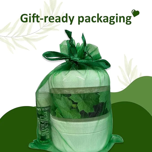 Snowy Summit's 3-Pc Devil's Club Gift Bag Set – Includes All-Natural Handcrafted Salve, Revitalizing Sugar Scrub, and Mois...