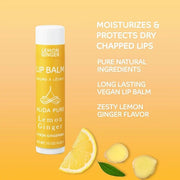 Lemon Ginger Lip Balm Collection, Vegan Lips,