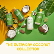 Alaffia Everyday Coconut Conditioner 2-Pack – Moisturizing Coconut Oil & Ginger Extract, Normal to Dry Hair, Curly Styles,...