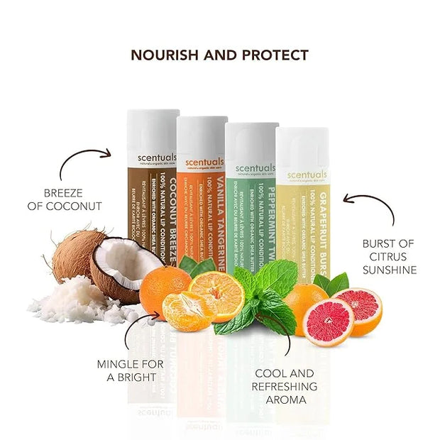 Lip Balm Set of 4, Made