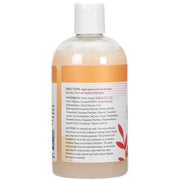 Ginger Lily Farms Botanicals Nourishing Body Wash, Coco Mango, 100% Vegan & Cruelty-Free, Coconut Mango Scent, 12 Fl Oz (P...