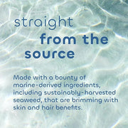 Seaweed Bath Co. Calm Body Scrub, Vetiver Geranium Scent, 6 Ounce, Sustainably Harvested Seaweed, Sea Kelp, Glycolic Acid ...