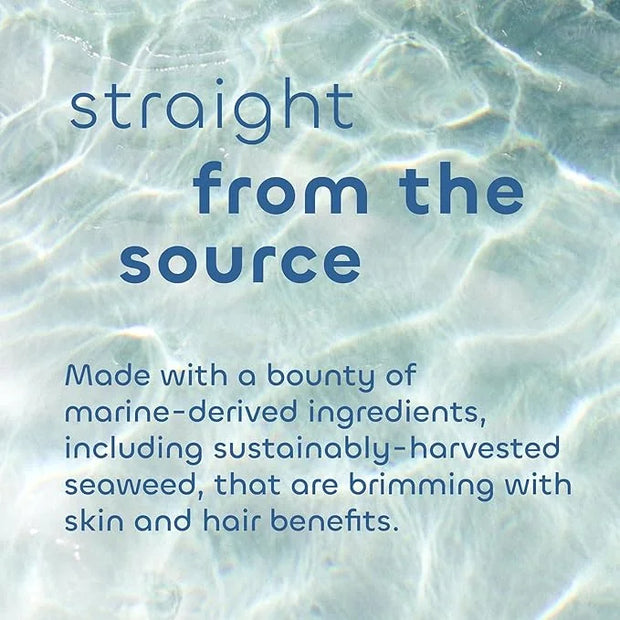 Seaweed Bath Co. Calm Body Scrub, Vetiver Geranium Scent, 6 Ounce, Sustainably Harvested Seaweed, Sea Kelp, Glycolic Acid ...