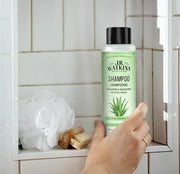 J.R. Watkins Daily Hydration Shampoo, Aloe & Green Tea - 12 fl oz (Pack of 2) - Product Image