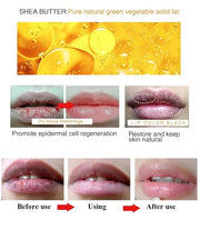 Moisture Lip Balm Lip Cream Hydrate