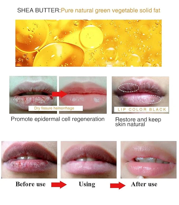 Moisture Lip Balm Lip Cream Hydrate