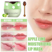 4PCS Bee Lip Balm Honey Pot,