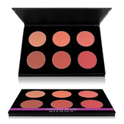 SHANY Shimmer & Matte Warm-Toned Blush Palette -