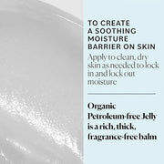 Sky Organics Organic Petroleum-free Jelly, Multi-Purpose Skin Care Balm with Organic Shea Butter, Coconut Oil, Olive Oil &...