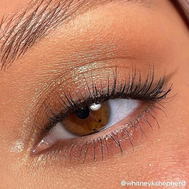 Colourpop Going Coconuts Eyeshadow Palette - Cool-Toned Neutral Eyeshadow Palette with Ultra-Velvety and Silky Finishes - ...