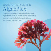 AQUAGE Finishing Spray, Travel Size, Delivers Humidity Resistance and Lasting Firm Hold Style Retention with Max Shine, LV...