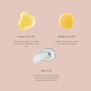 Jouer Essential Vegan Lip Enhancer - Plumping Lip Gloss - Enhancing Lip Conditioner - Moisturize, Plump, & Nourishing Lip ...