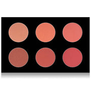 SHANY Shimmer & Matte Warm-Toned Blush Palette -