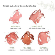 Honeybee Gardens Complexion Perfecting Blush in Tea Rose, Medium Spiced Peach, Vegan & Gluten-Free, 8.5g - Product Image