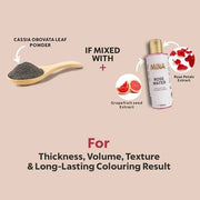 Mina ibrow Hair Color Burgundy|Natural