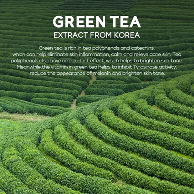 AKARY Green Tea Eye Care Cream Eliminate Eye Bag Dark Circles Tea Leaf Extract Eye Cream for Nourishing Eye Areas & Tighte...
