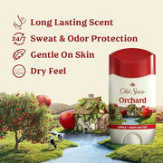 Old Spice Dry Feel Antiperspirant Deodorant for Men, 24/7 Long Lasting Freshness, 24/7 Sweat & Odor Protection, Gentle on ...