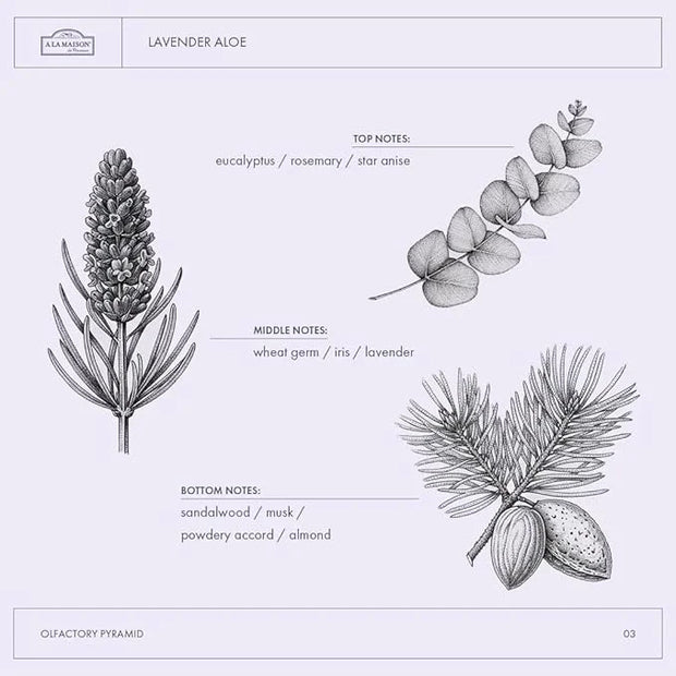 A La Maison de Provence Natural Aluminum-Free Deodorant Traditional French Milled Formula | Long Lasting Safe and Effectiv...