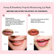 2PCS Bee Balm Lip Balm Honey