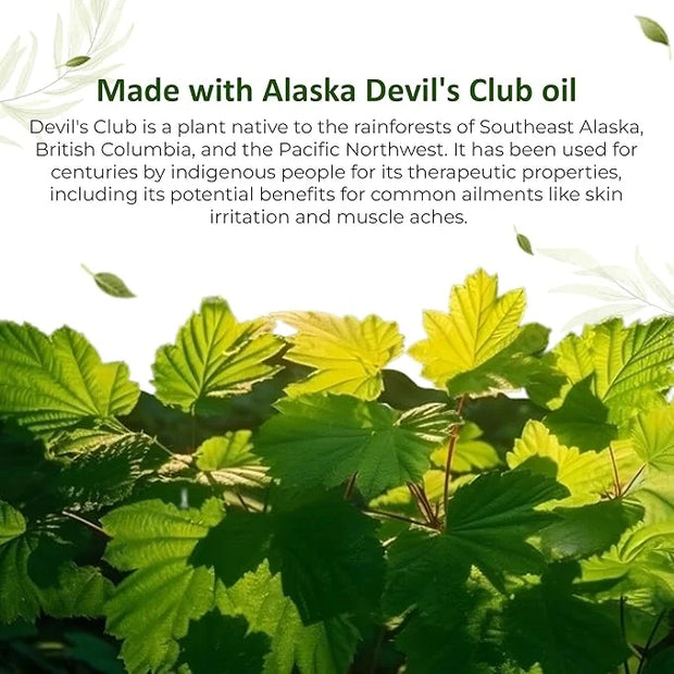 Snowy Summit's 3-Pc Devil's Club Gift Bag Set – Includes All-Natural Handcrafted Salve, Revitalizing Sugar Scrub, and Mois...