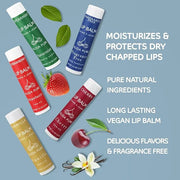 ALIDA PURE Melody Lip Balm Collection, Lips,